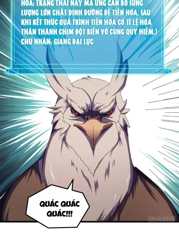 Kim Cương Bất Hoại Đại Trại Chủ Chapter 51 - Trang 2