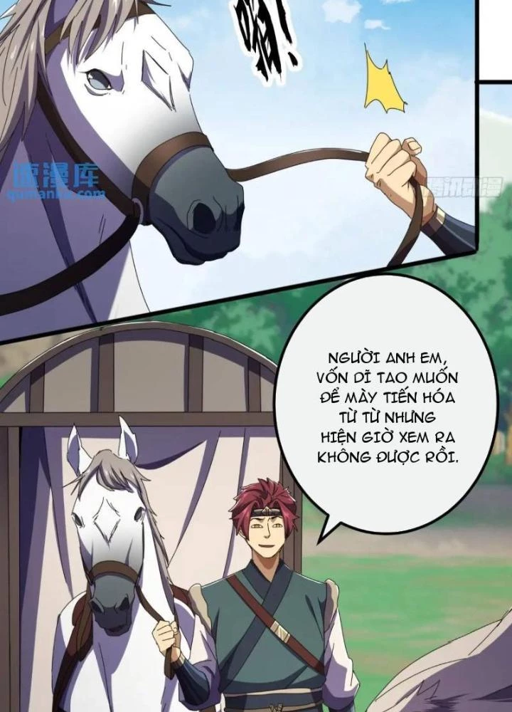 Kim Cương Bất Hoại Đại Trại Chủ Chapter 51 - Trang 2