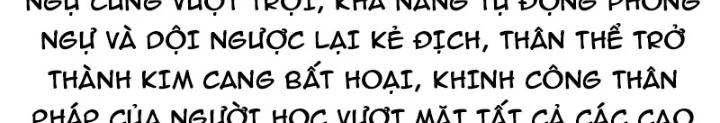 Kim Cương Bất Hoại Đại Trại Chủ Chapter 66 - Trang 2