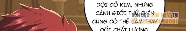 Kim Cương Bất Hoại Đại Trại Chủ Chapter 78 - Trang 2