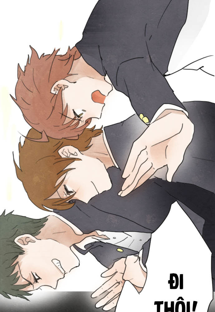 Hoa Cánh Sao Chapter 2 - Trang 2