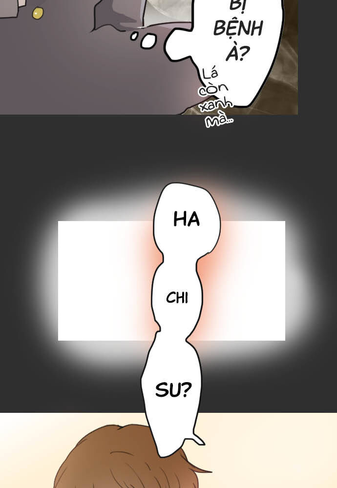 Hoa Cánh Sao Chapter 18 - Trang 2