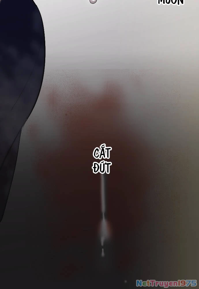 Hoa Cánh Sao Chapter 39 - Trang 2