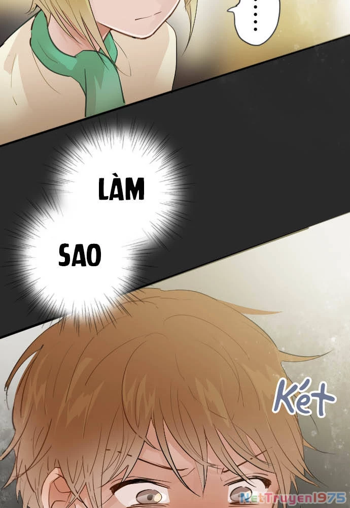 Hoa Cánh Sao Chapter 42 - Trang 2