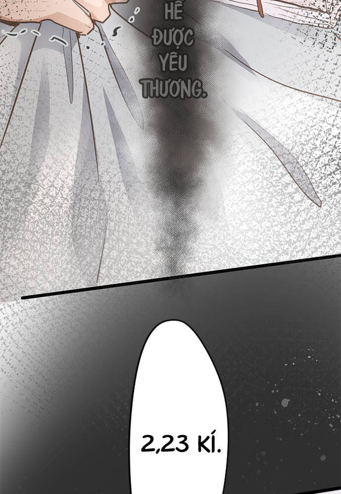 Hoa Cánh Sao Chapter 73 - Trang 2