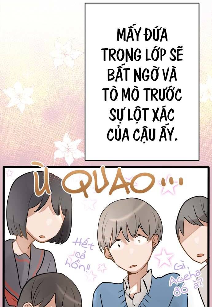 Hoa Cánh Sao Chapter 81 - Trang 2