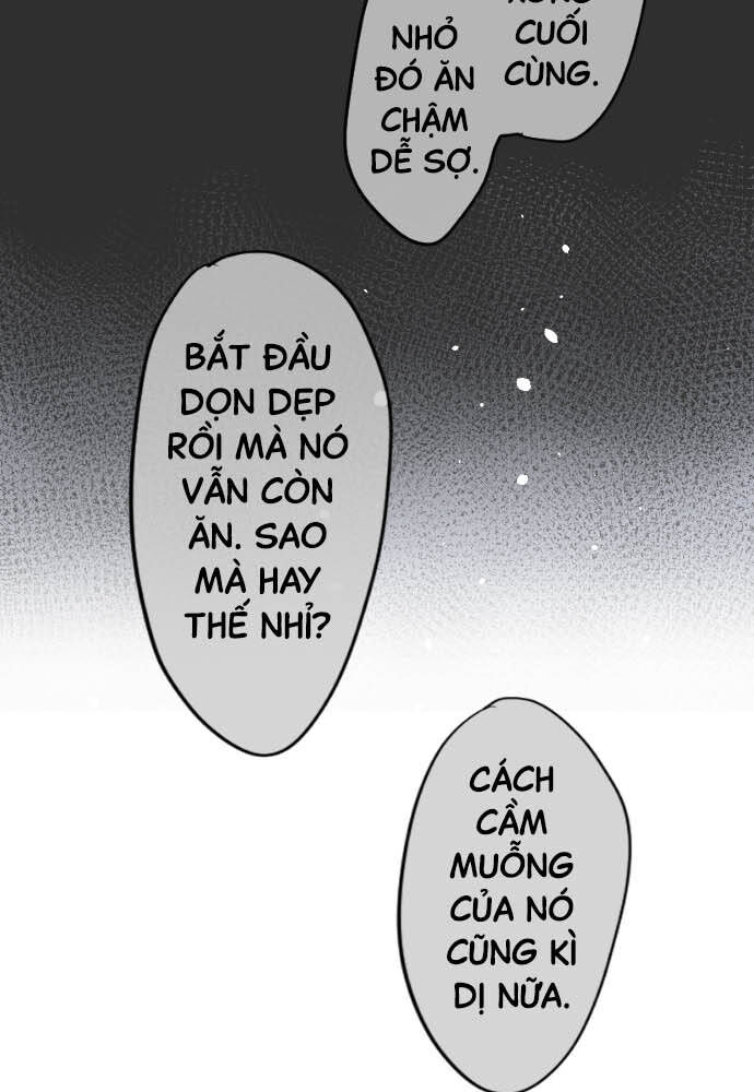 Hoa Cánh Sao Chapter 90 - Trang 2