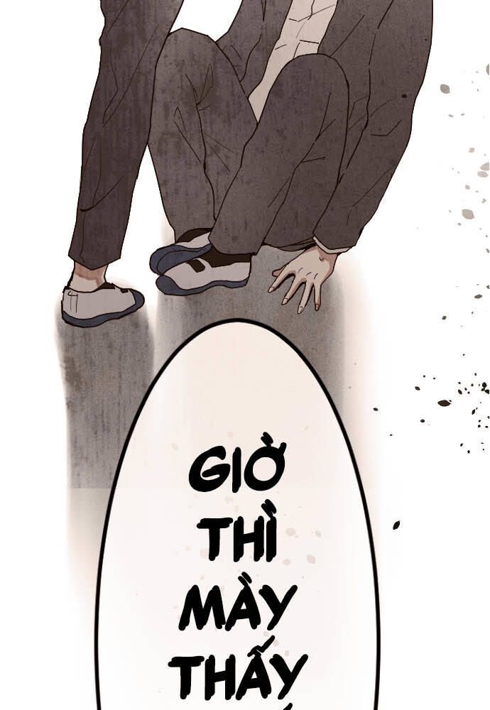 Hoa Cánh Sao Chapter 101 - Trang 2