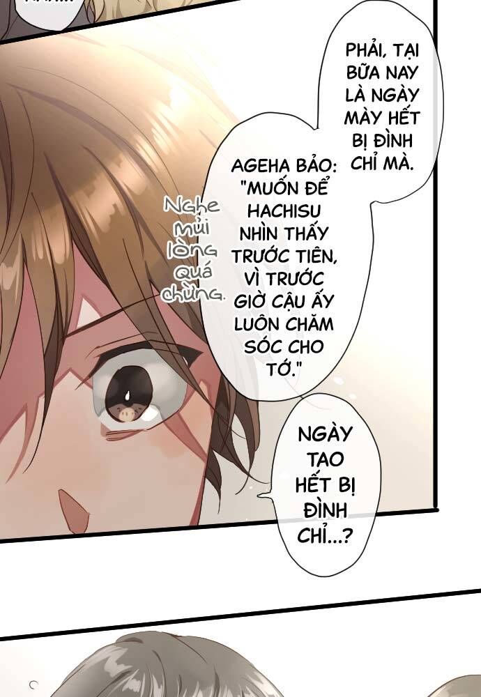 Hoa Cánh Sao Chapter 111 - Trang 2