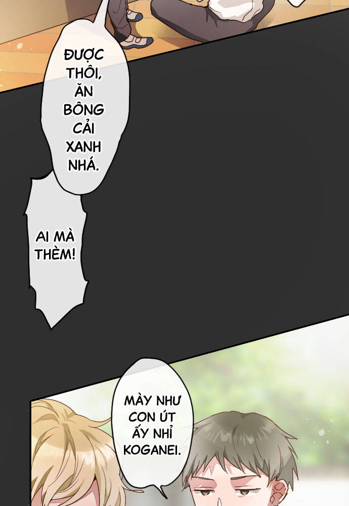 Hoa Cánh Sao Chapter 116 - Trang 2