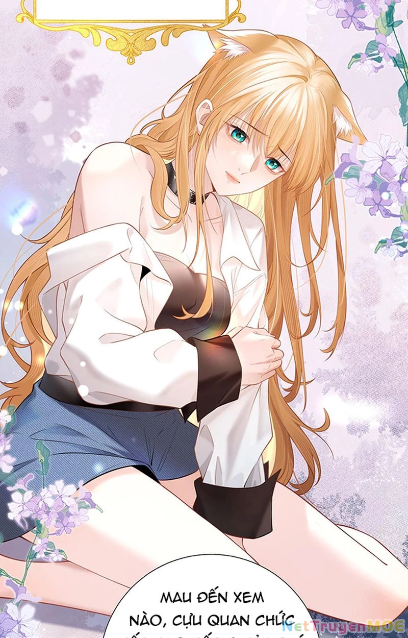 Thưa Ngài, Đuôi Của Ngài Không Giấu Được Nữa Rồi Chapter 1 - Trang 2