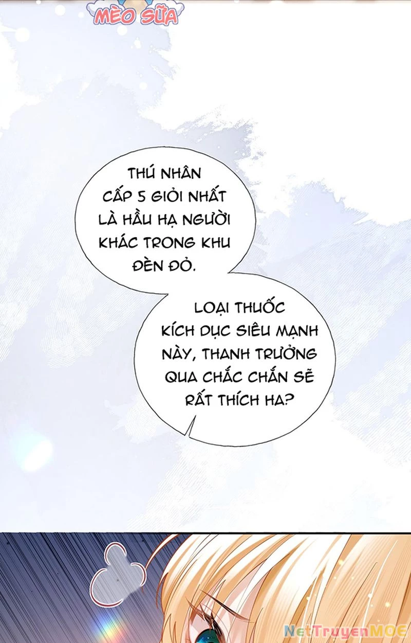 Thưa Ngài, Đuôi Của Ngài Không Giấu Được Nữa Rồi Chapter 1 - Trang 2