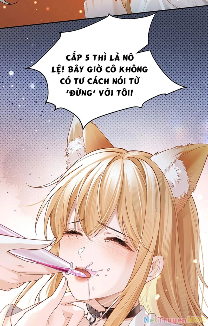 Thưa Ngài, Đuôi Của Ngài Không Giấu Được Nữa Rồi Chapter 1 - Trang 2