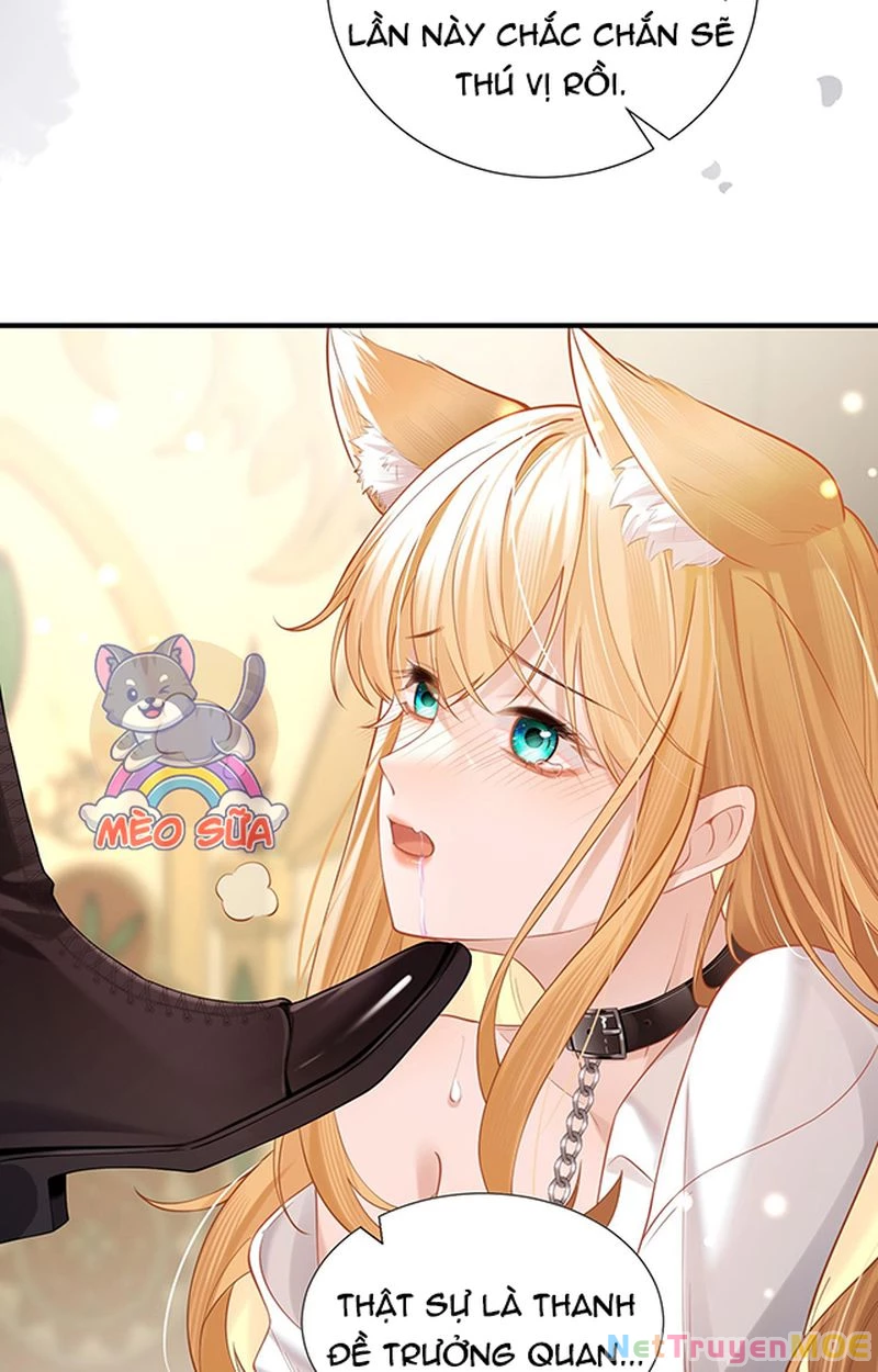 Thưa Ngài, Đuôi Của Ngài Không Giấu Được Nữa Rồi Chapter 1 - Trang 2