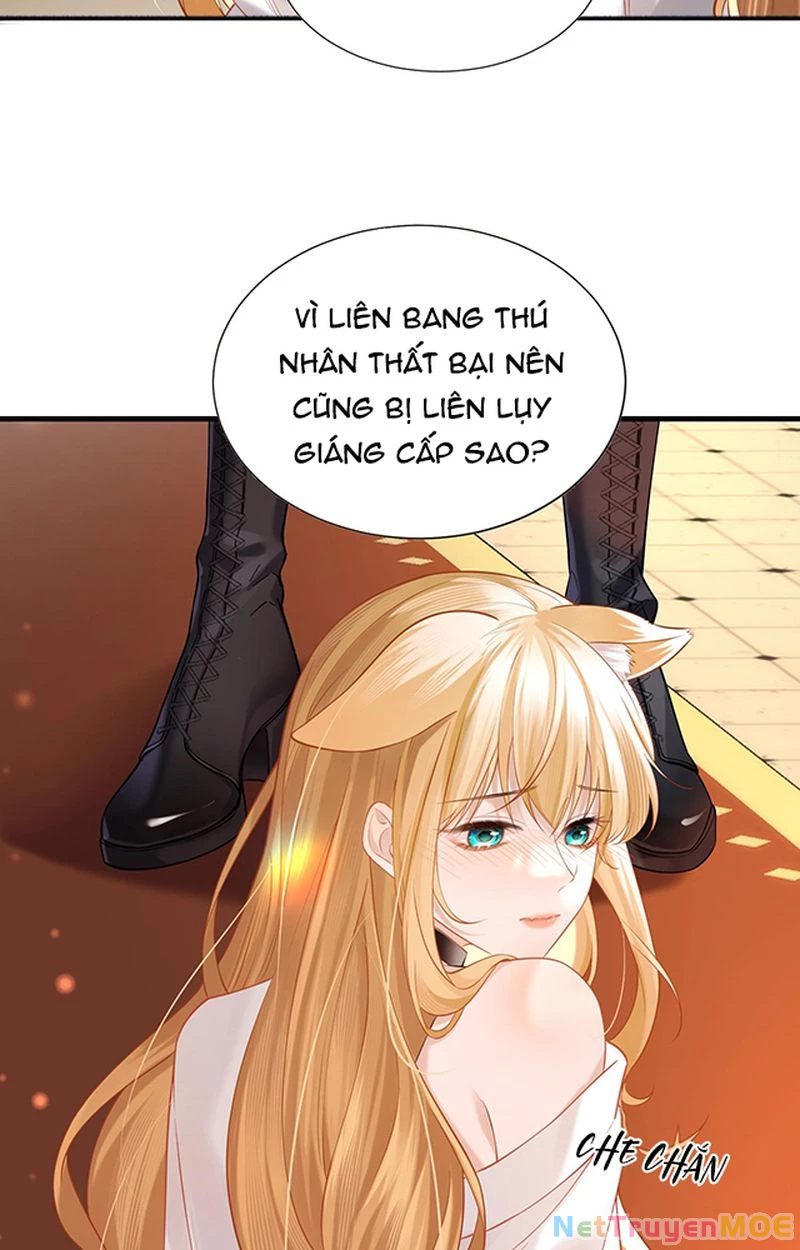 Thưa Ngài, Đuôi Của Ngài Không Giấu Được Nữa Rồi Chapter 1 - Trang 2