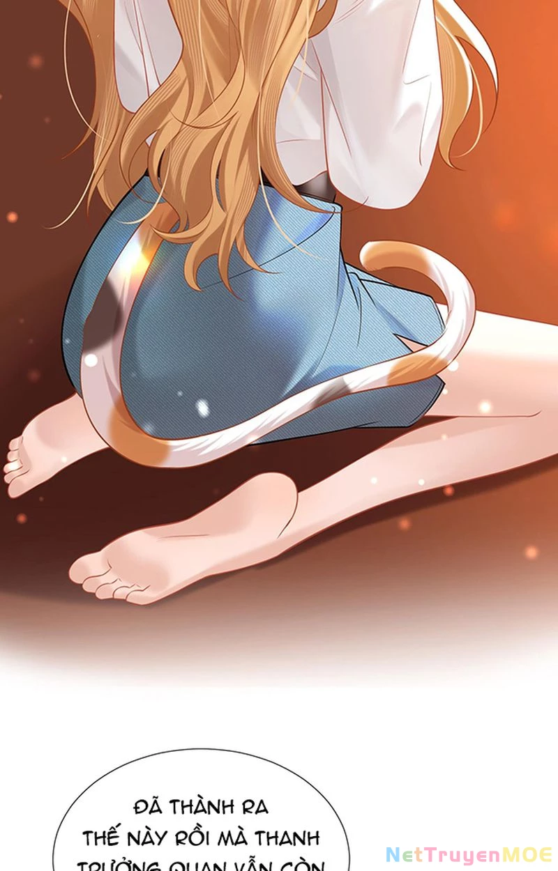 Thưa Ngài, Đuôi Của Ngài Không Giấu Được Nữa Rồi Chapter 1 - Trang 2