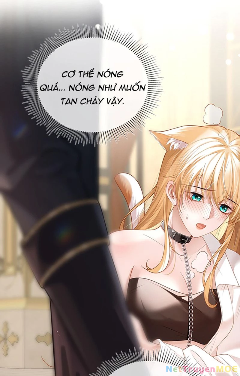 Thưa Ngài, Đuôi Của Ngài Không Giấu Được Nữa Rồi Chapter 1 - Trang 2