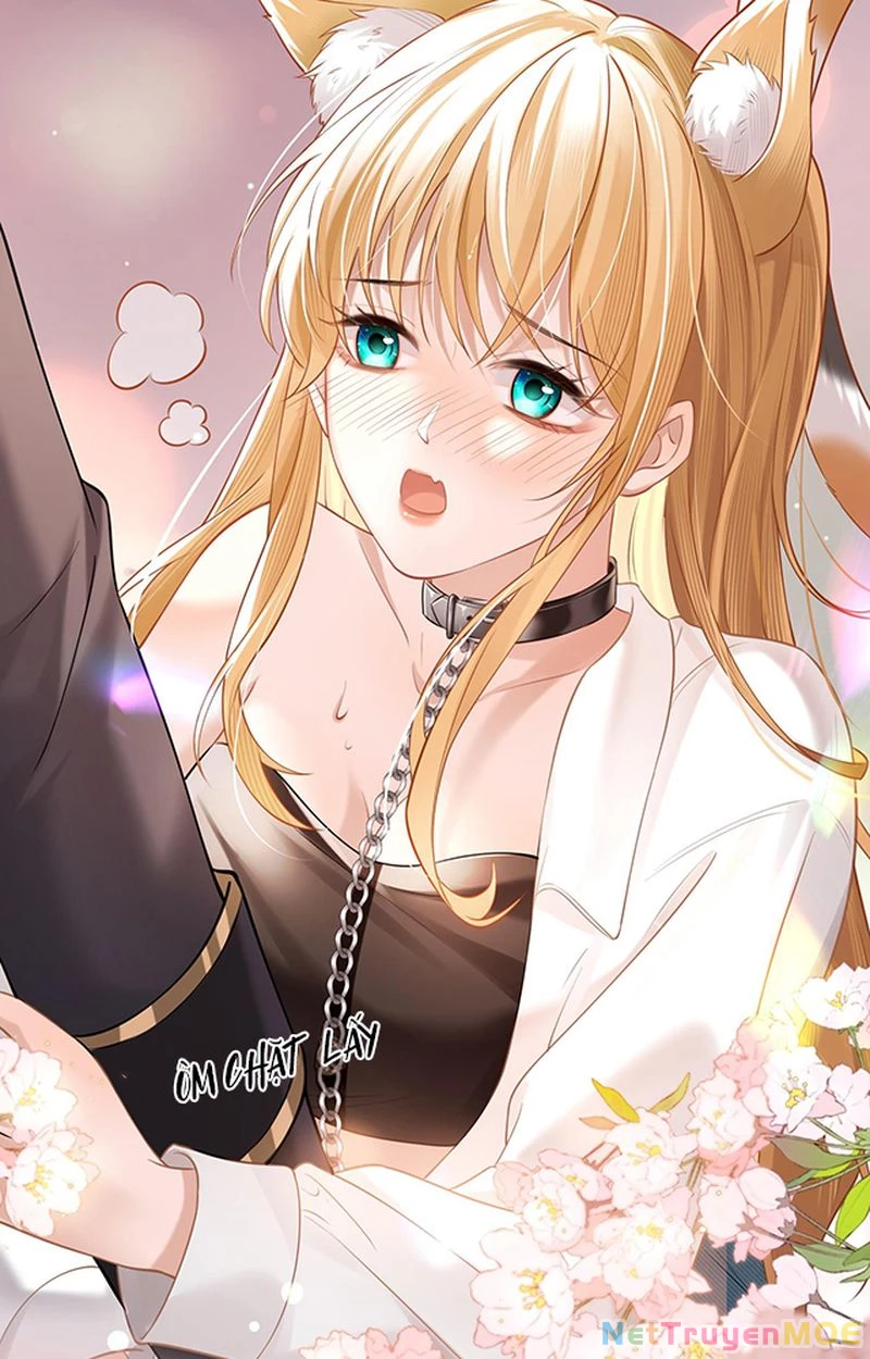 Thưa Ngài, Đuôi Của Ngài Không Giấu Được Nữa Rồi Chapter 1 - Trang 2