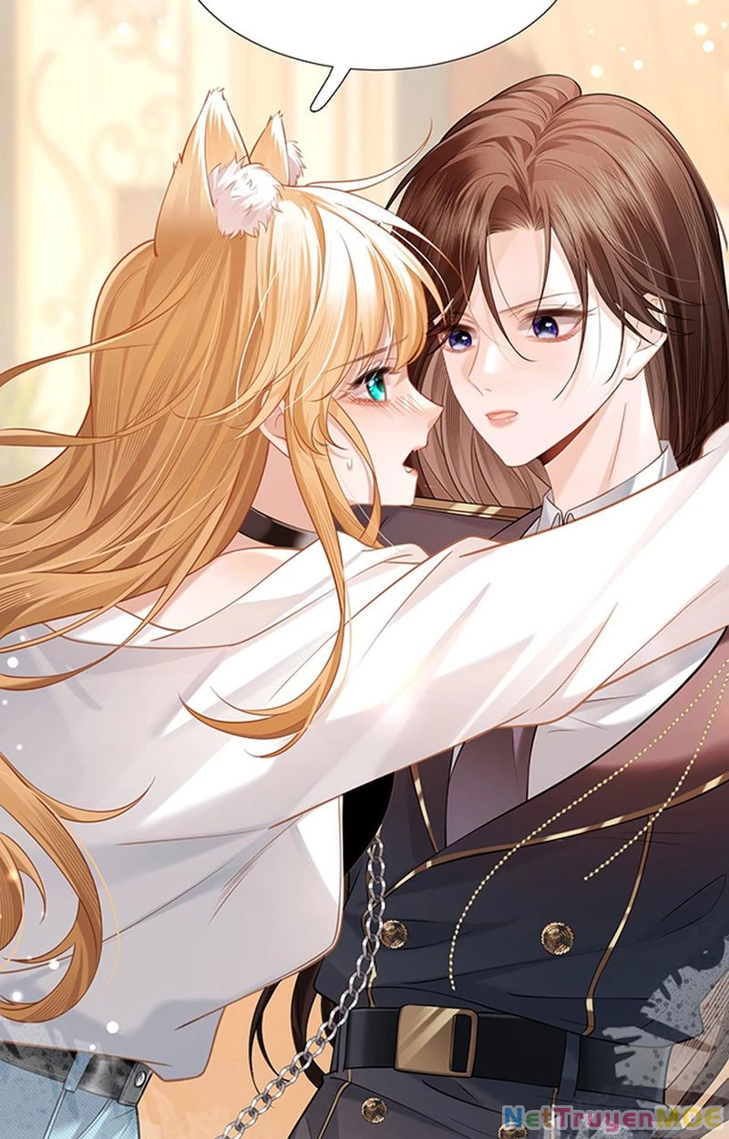 Thưa Ngài, Đuôi Của Ngài Không Giấu Được Nữa Rồi Chapter 1 - Trang 2