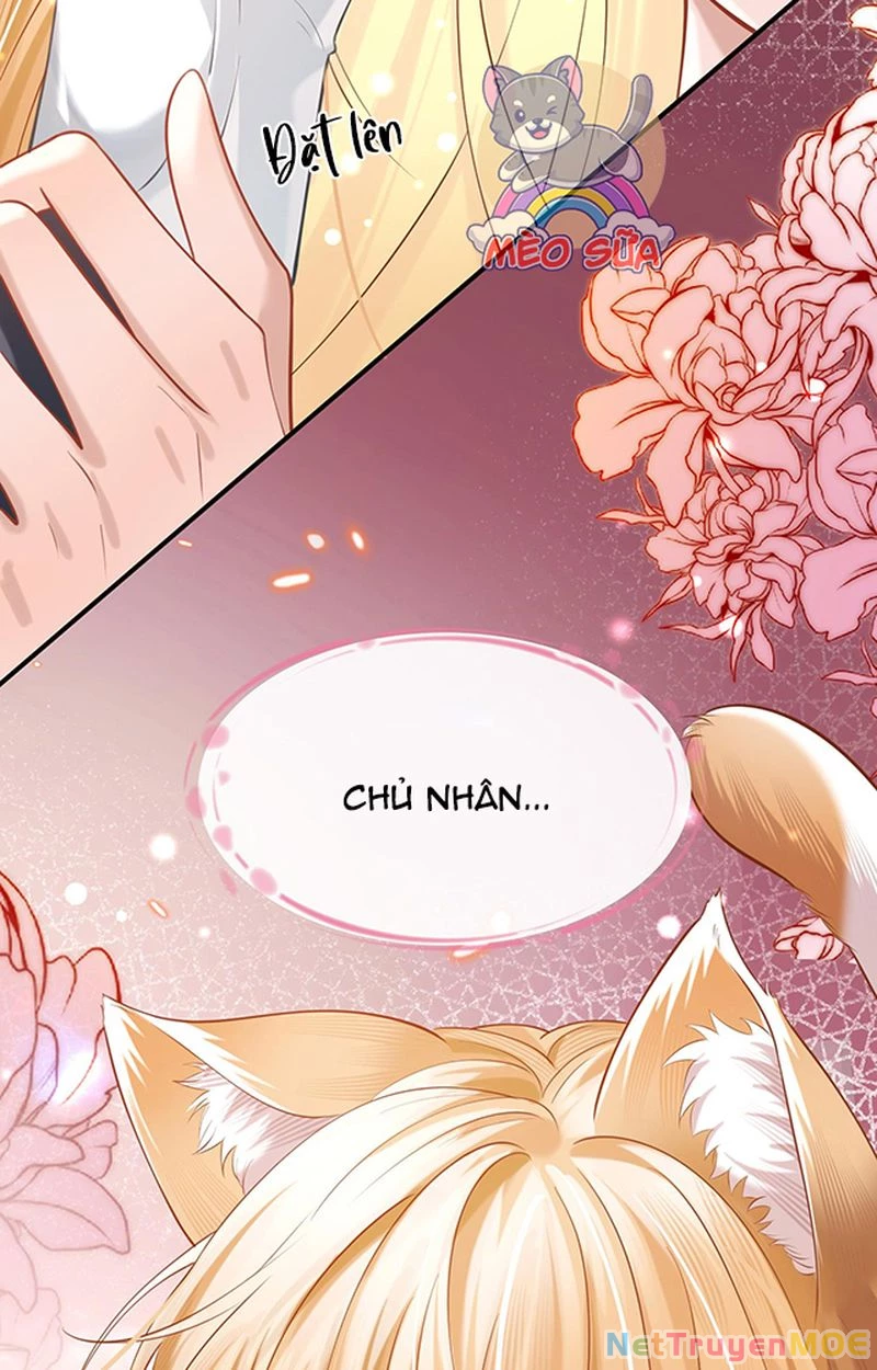 Thưa Ngài, Đuôi Của Ngài Không Giấu Được Nữa Rồi Chapter 1 - Trang 2