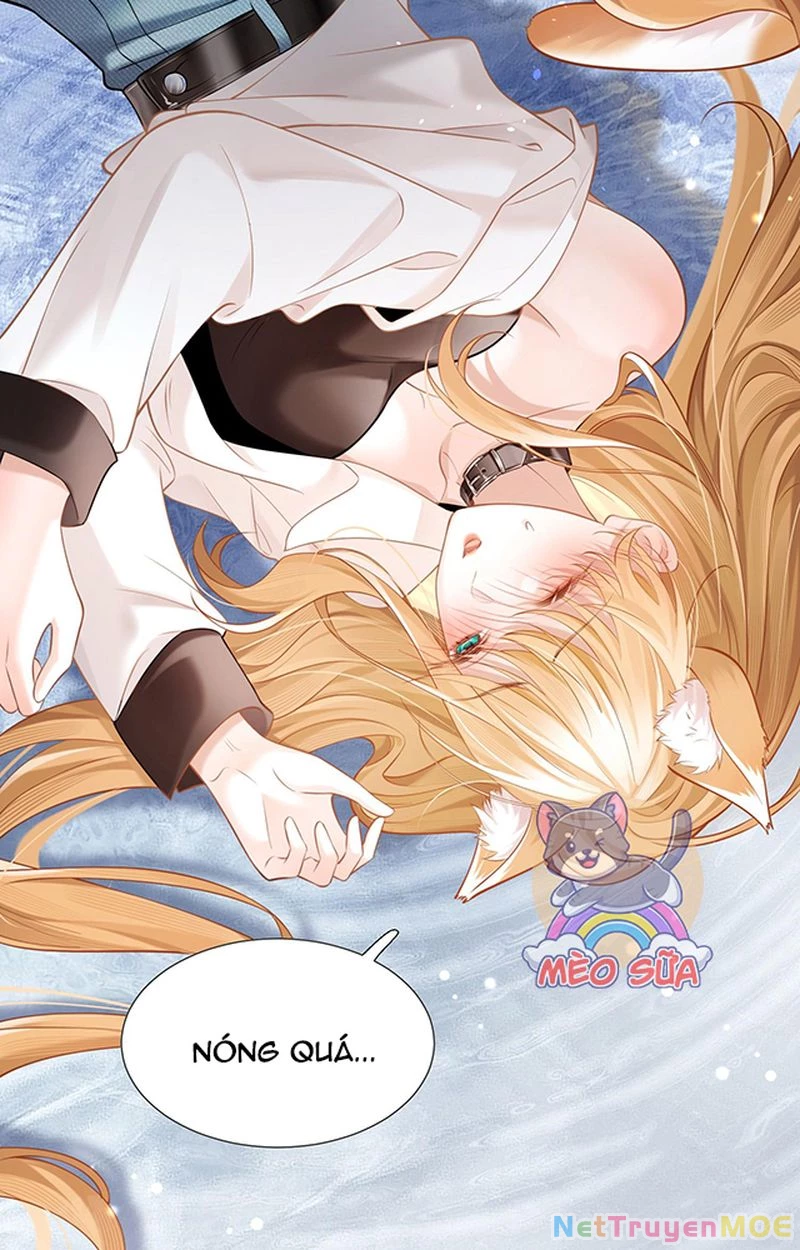 Thưa Ngài, Đuôi Của Ngài Không Giấu Được Nữa Rồi Chapter 1 - Trang 2