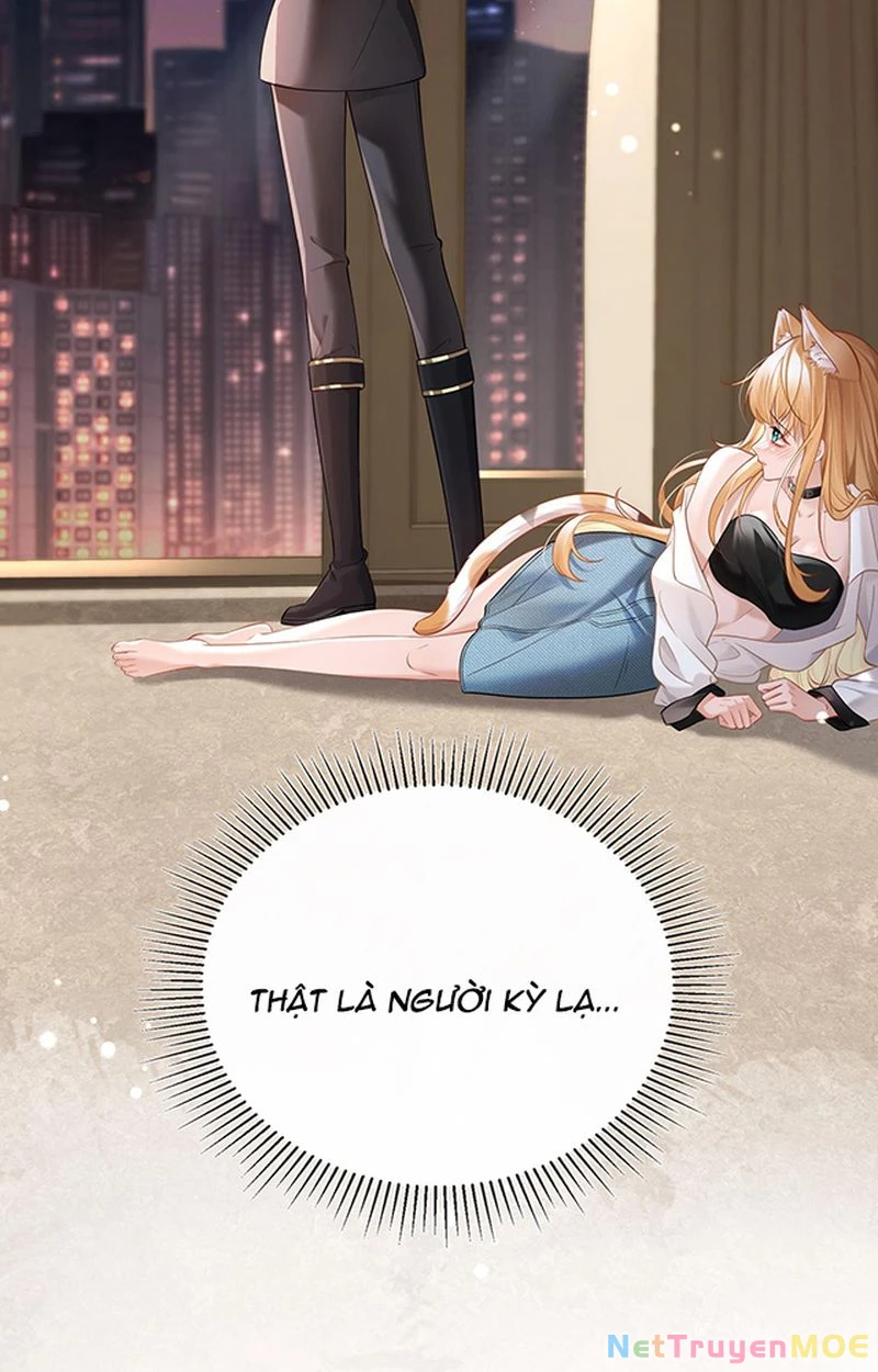 Thưa Ngài, Đuôi Của Ngài Không Giấu Được Nữa Rồi Chapter 1 - Trang 2