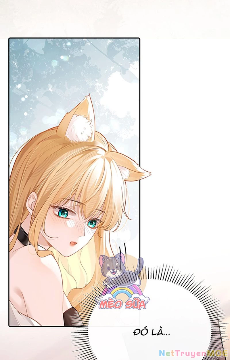 Thưa Ngài, Đuôi Của Ngài Không Giấu Được Nữa Rồi Chapter 1 - Trang 2