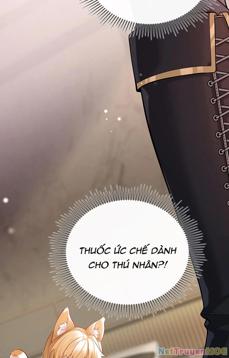 Thưa Ngài, Đuôi Của Ngài Không Giấu Được Nữa Rồi Chapter 1 - Trang 2