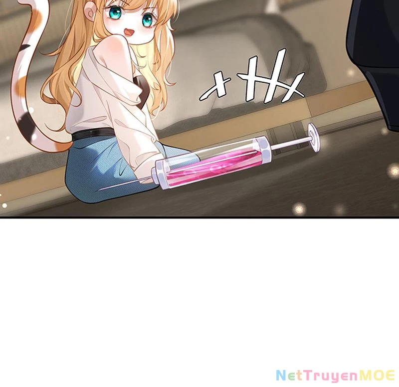 Thưa Ngài, Đuôi Của Ngài Không Giấu Được Nữa Rồi Chapter 1 - Trang 2