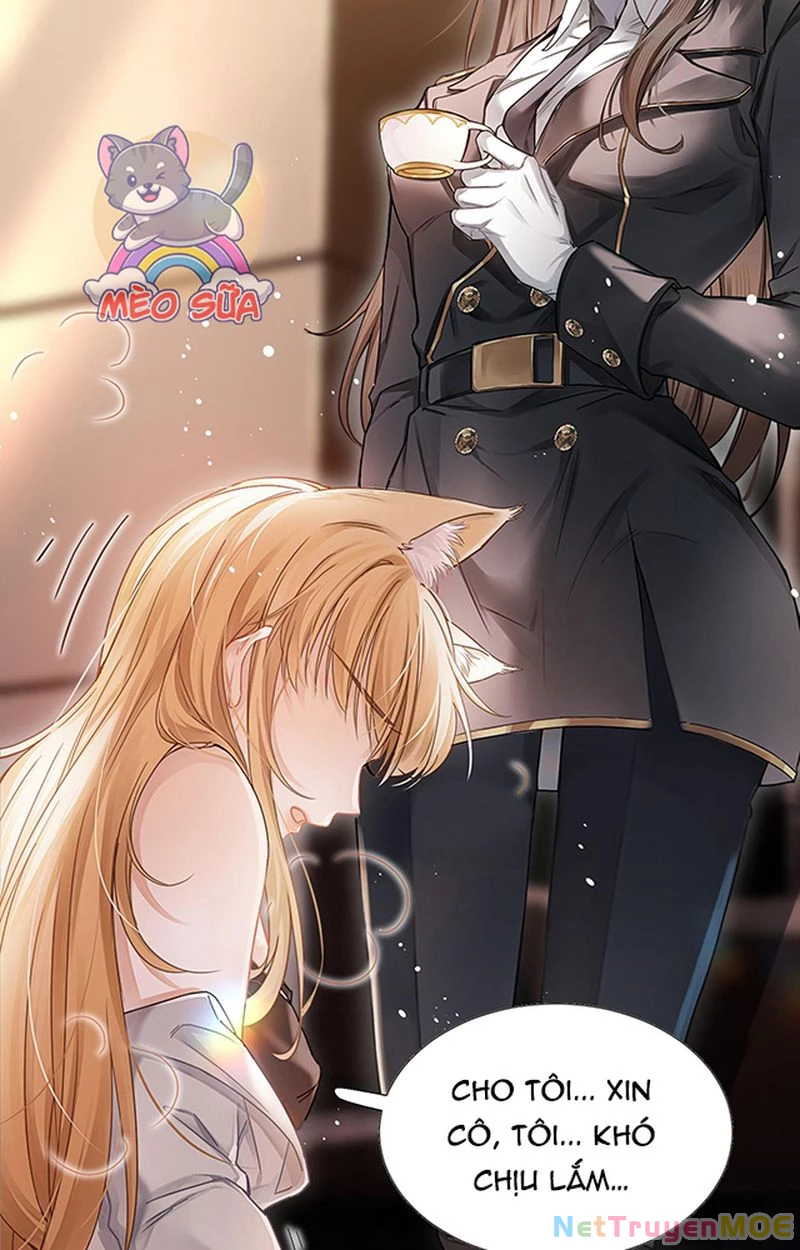 Thưa Ngài, Đuôi Của Ngài Không Giấu Được Nữa Rồi Chapter 1 - Trang 2