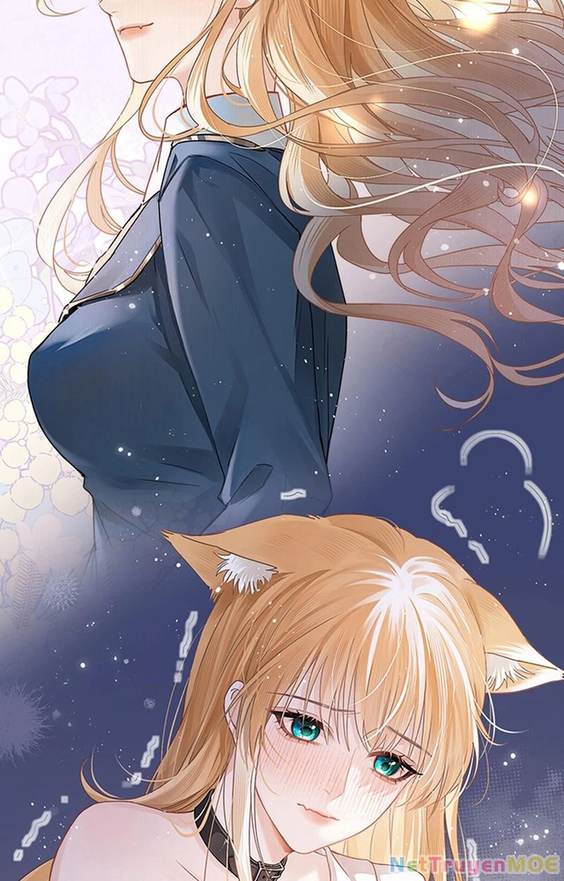 Thưa Ngài, Đuôi Của Ngài Không Giấu Được Nữa Rồi Chapter 1 - Trang 2