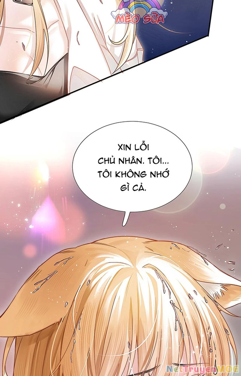 Thưa Ngài, Đuôi Của Ngài Không Giấu Được Nữa Rồi Chapter 1 - Trang 2