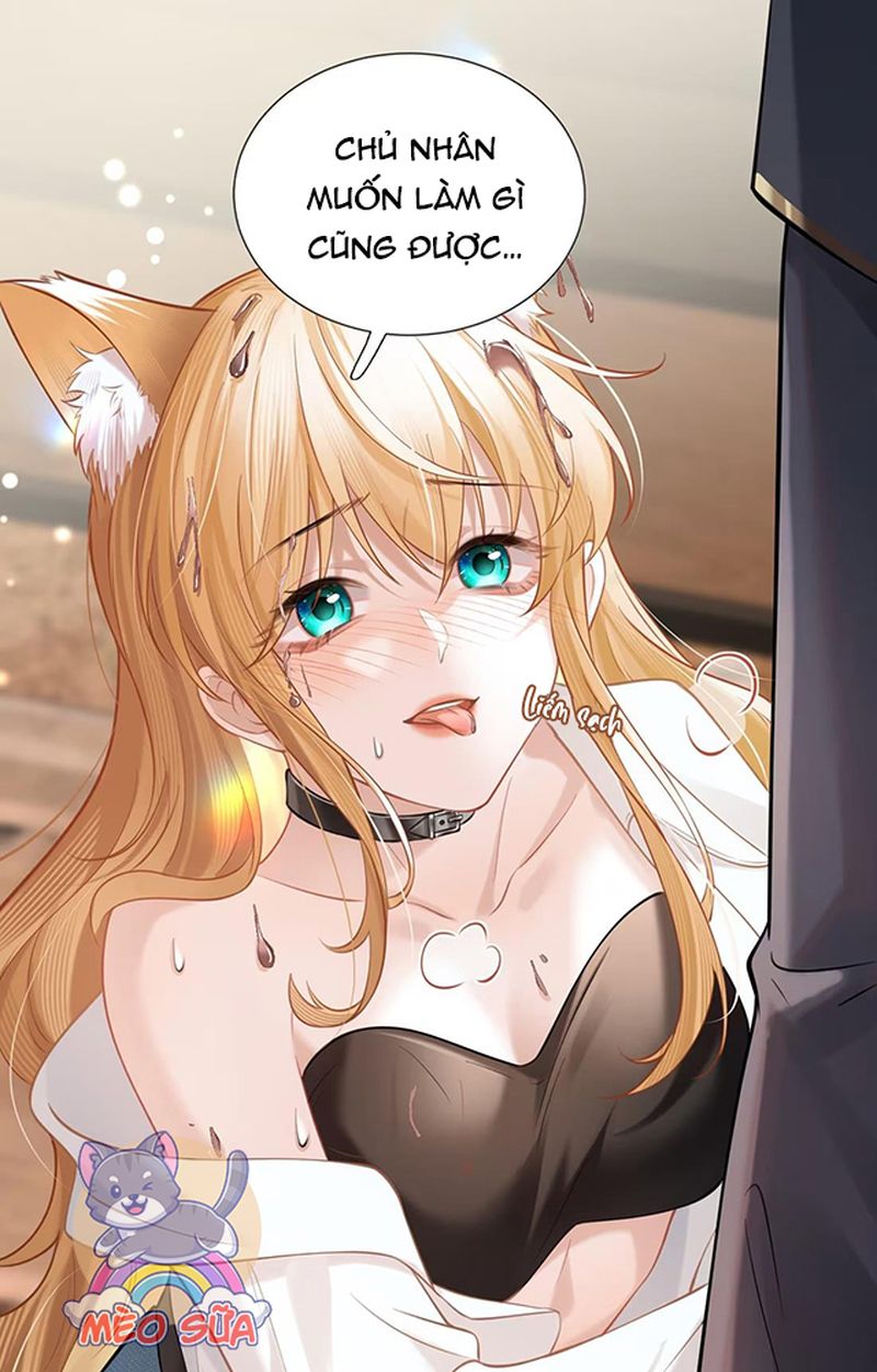 Thưa Ngài, Đuôi Của Ngài Không Giấu Được Nữa Rồi Chapter 2 - Trang 2