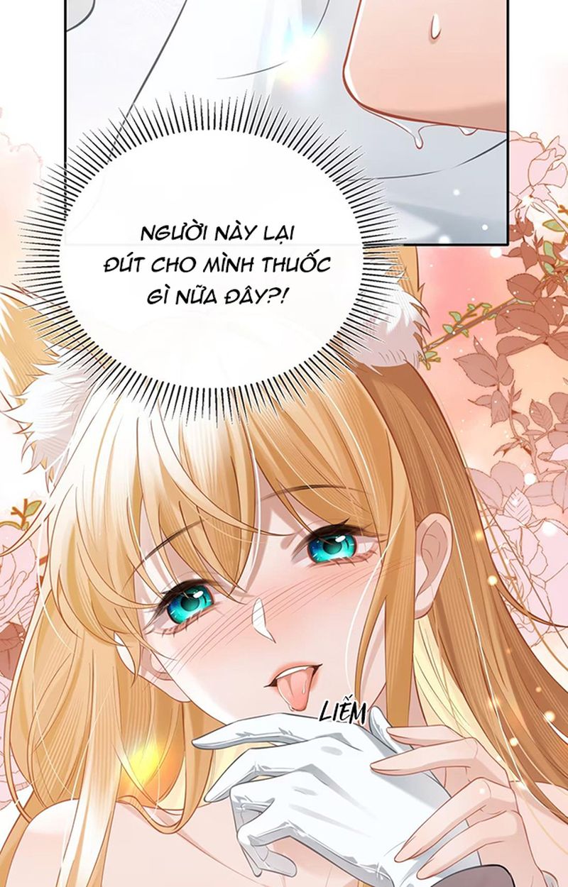 Thưa Ngài, Đuôi Của Ngài Không Giấu Được Nữa Rồi Chapter 2 - Trang 2