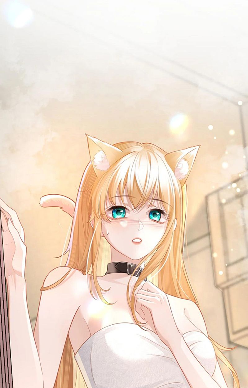 Thưa Ngài, Đuôi Của Ngài Không Giấu Được Nữa Rồi Chapter 2 - Trang 2