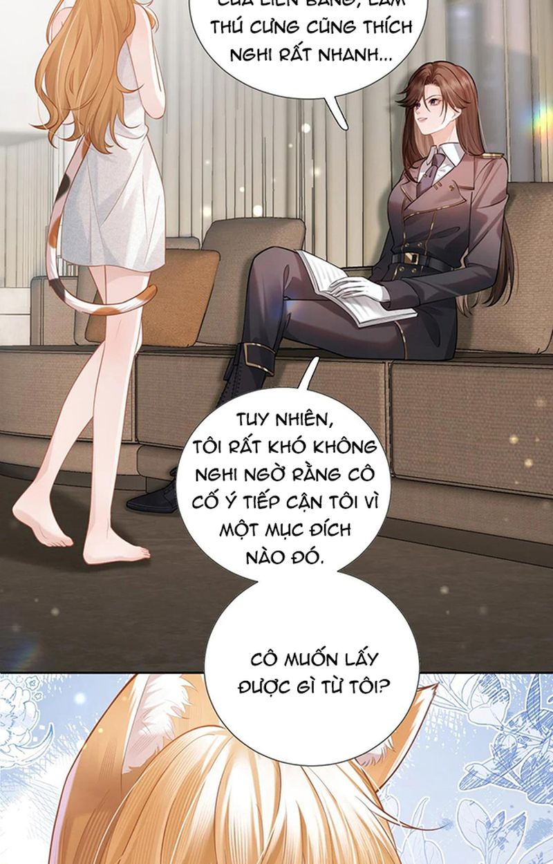 Thưa Ngài, Đuôi Của Ngài Không Giấu Được Nữa Rồi Chapter 2 - Trang 2