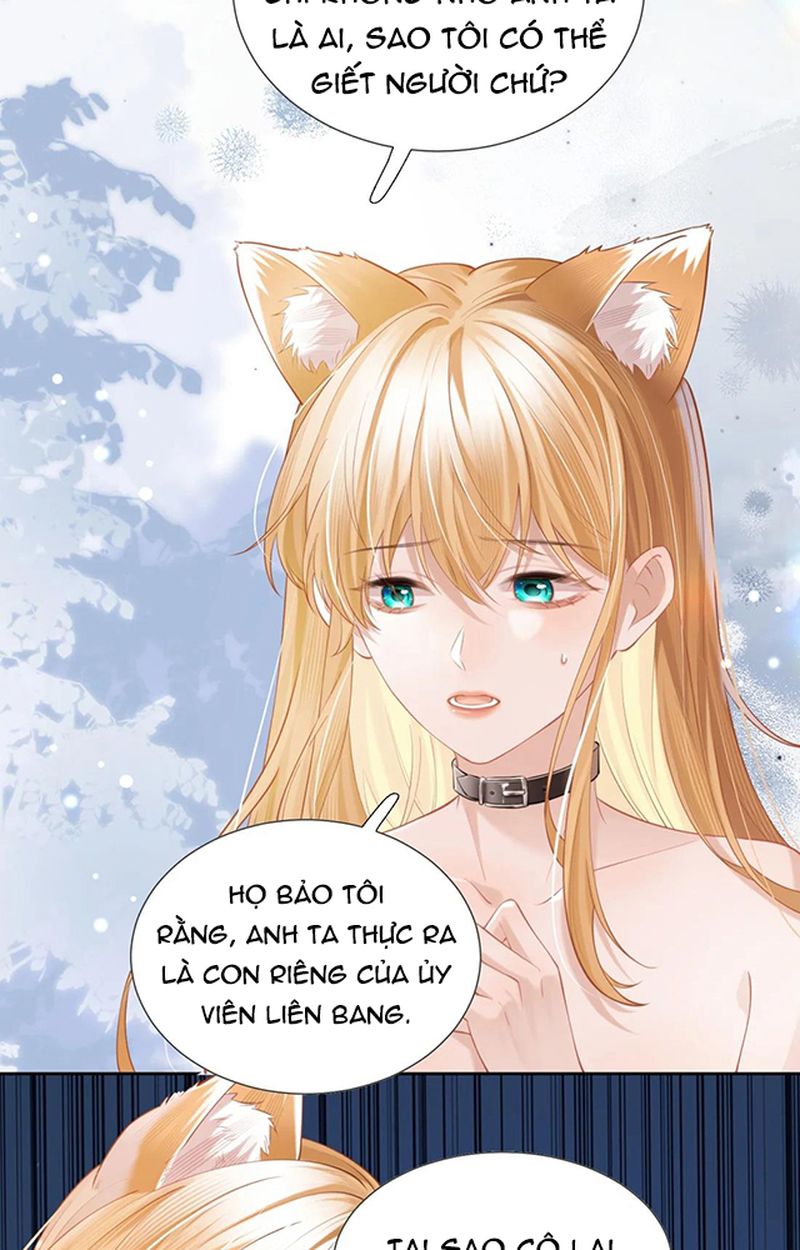 Thưa Ngài, Đuôi Của Ngài Không Giấu Được Nữa Rồi Chapter 2 - Trang 2