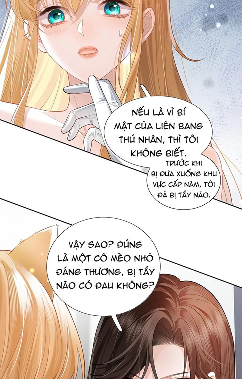 Thưa Ngài, Đuôi Của Ngài Không Giấu Được Nữa Rồi Chapter 2 - Trang 2