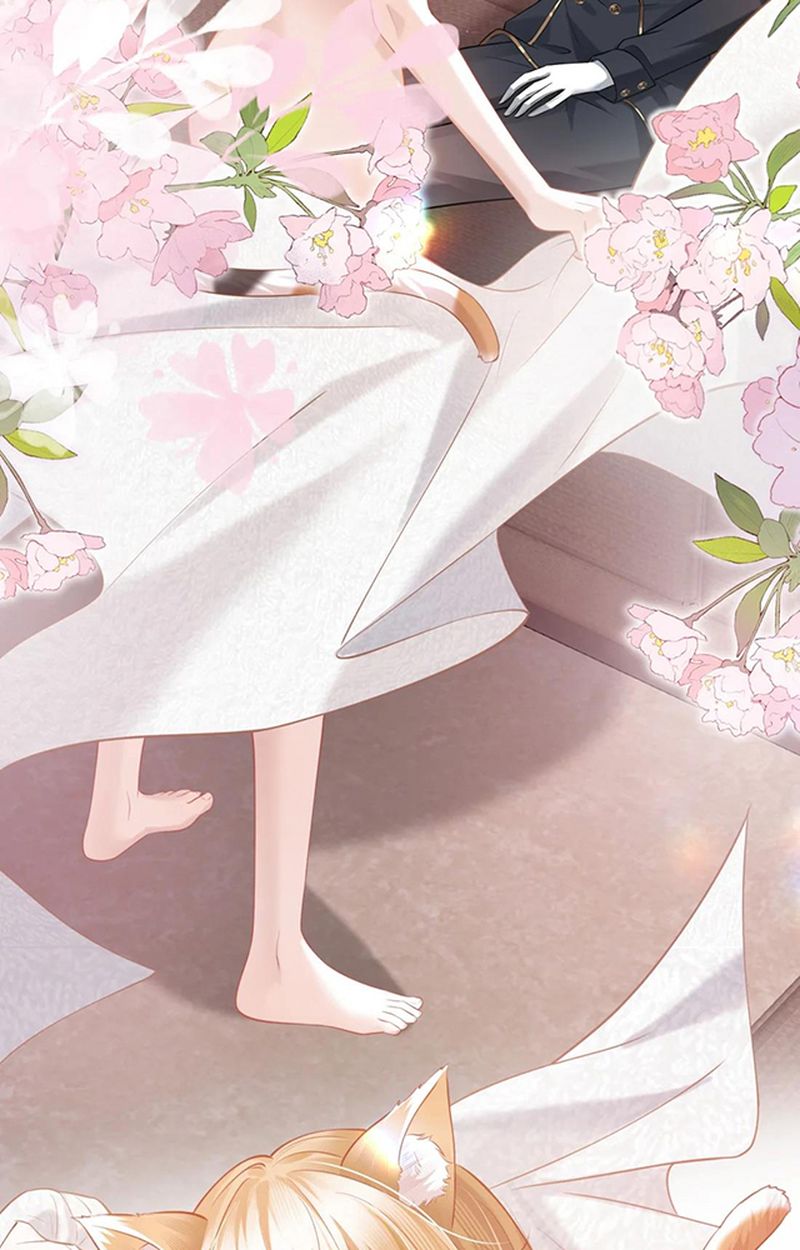 Thưa Ngài, Đuôi Của Ngài Không Giấu Được Nữa Rồi Chapter 2 - Trang 2