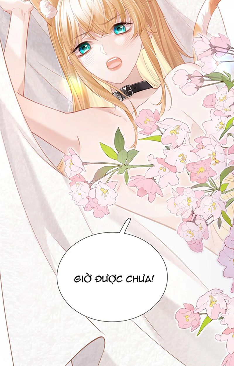 Thưa Ngài, Đuôi Của Ngài Không Giấu Được Nữa Rồi Chapter 2 - Trang 2