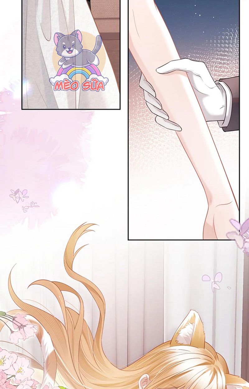 Thưa Ngài, Đuôi Của Ngài Không Giấu Được Nữa Rồi Chapter 2 - Trang 2