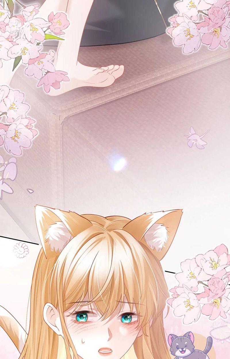 Thưa Ngài, Đuôi Của Ngài Không Giấu Được Nữa Rồi Chapter 2 - Trang 2