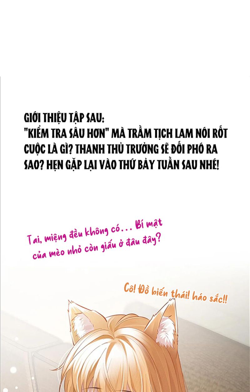 Thưa Ngài, Đuôi Của Ngài Không Giấu Được Nữa Rồi Chapter 2 - Trang 2