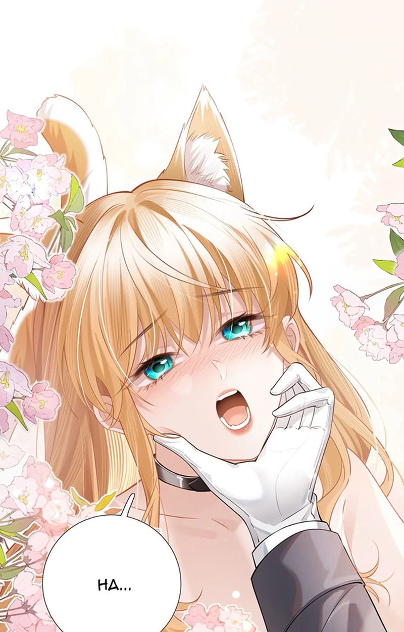 Thưa Ngài, Đuôi Của Ngài Không Giấu Được Nữa Rồi Chapter 3 - Trang 2