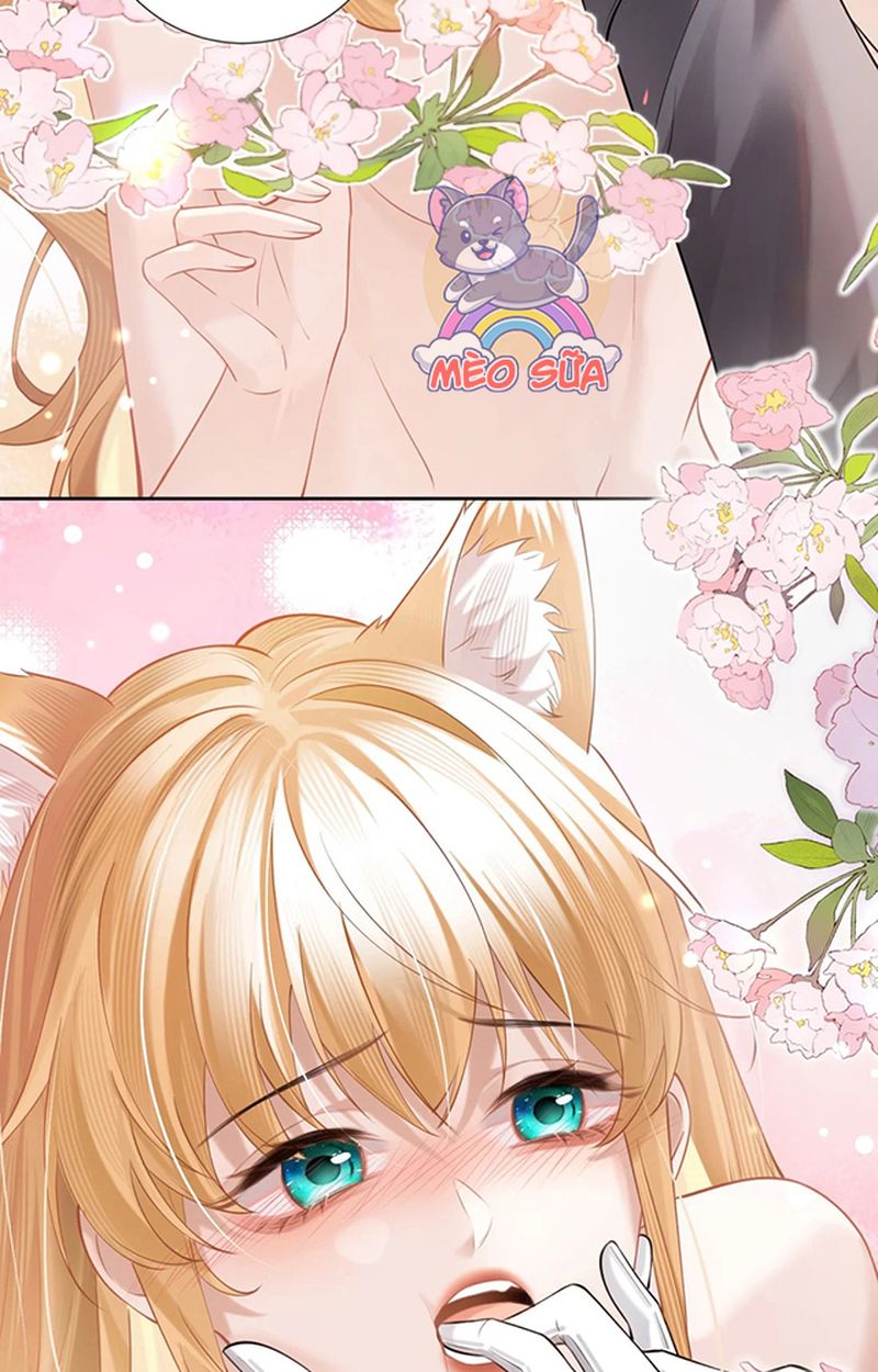 Thưa Ngài, Đuôi Của Ngài Không Giấu Được Nữa Rồi Chapter 3 - Trang 2