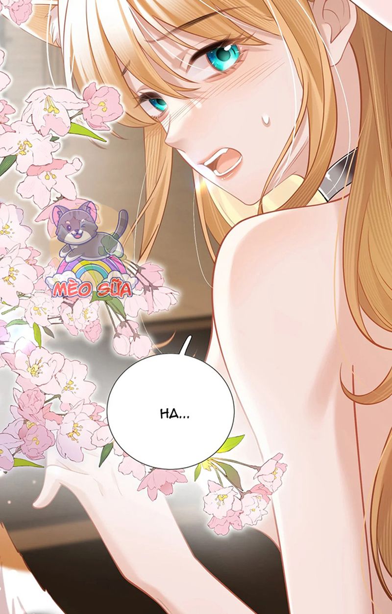 Thưa Ngài, Đuôi Của Ngài Không Giấu Được Nữa Rồi Chapter 3 - Trang 2