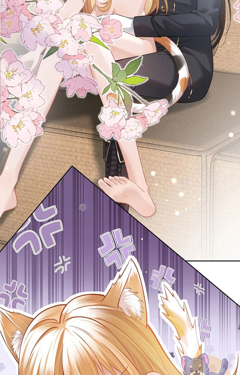 Thưa Ngài, Đuôi Của Ngài Không Giấu Được Nữa Rồi Chapter 3 - Trang 2