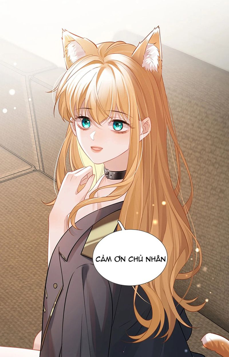 Thưa Ngài, Đuôi Của Ngài Không Giấu Được Nữa Rồi Chapter 3 - Trang 2