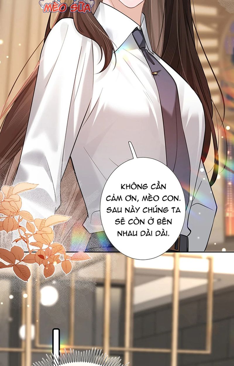 Thưa Ngài, Đuôi Của Ngài Không Giấu Được Nữa Rồi Chapter 3 - Trang 2