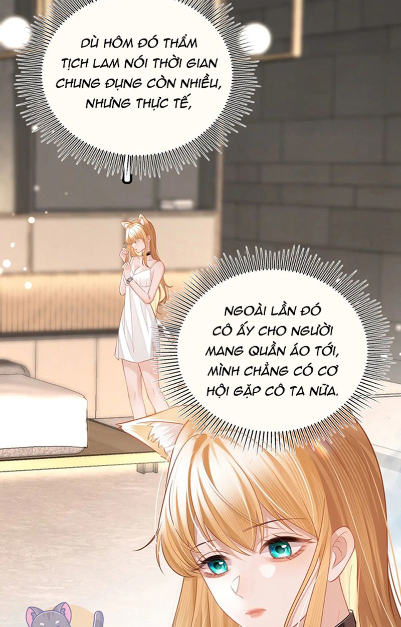 Thưa Ngài, Đuôi Của Ngài Không Giấu Được Nữa Rồi Chapter 3 - Trang 2